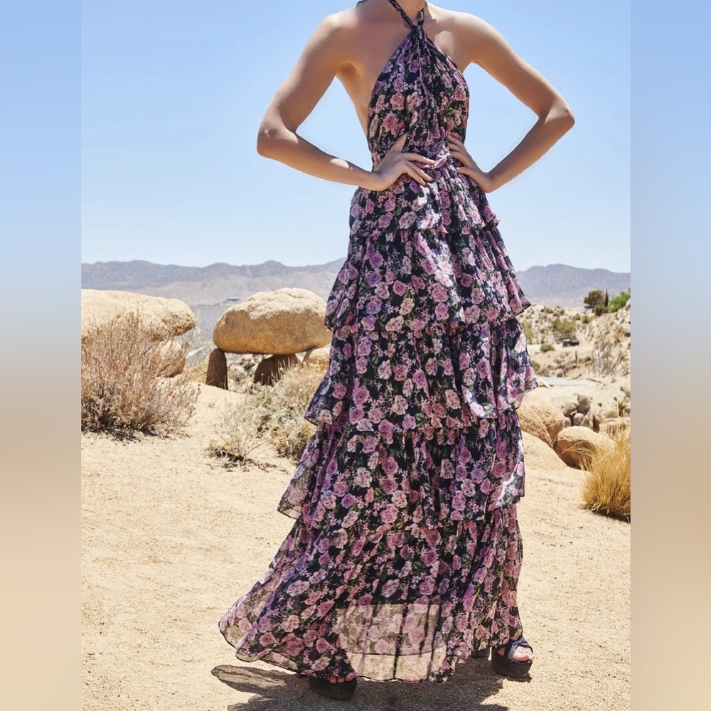 Cami NYC Evina dress